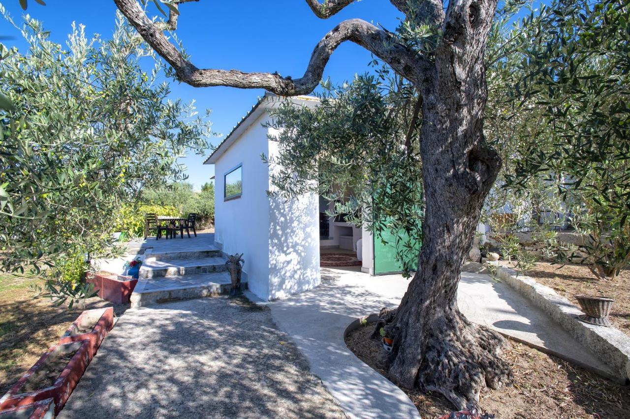Вилла Casa Rina Сассари Экстерьер фото